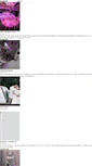 Mobile Screenshot of hn.boda.tv